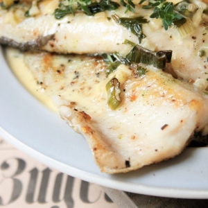 Forellenfilets an Kräutersauce