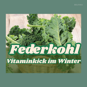 Federkohlauflauf